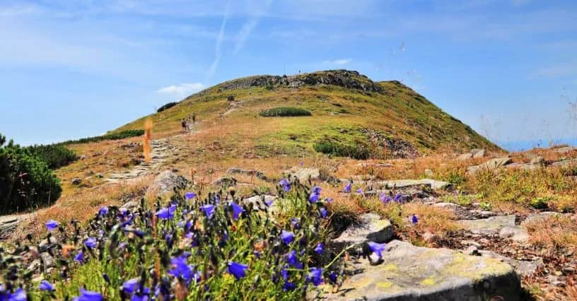 Najłatwiejszy szlak na Babią Górę – idealny dla rodzin i początkujących
