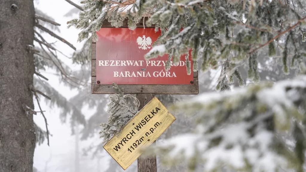 Jaki szlak na Baranią Górę? Odkryj najłatwiejsze trasy i porady