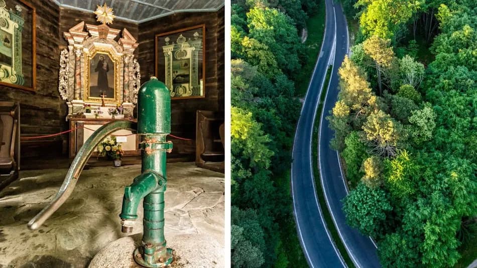 Las Łagiewnicki atrakcje, które zaskoczą każdego miłośnika natury