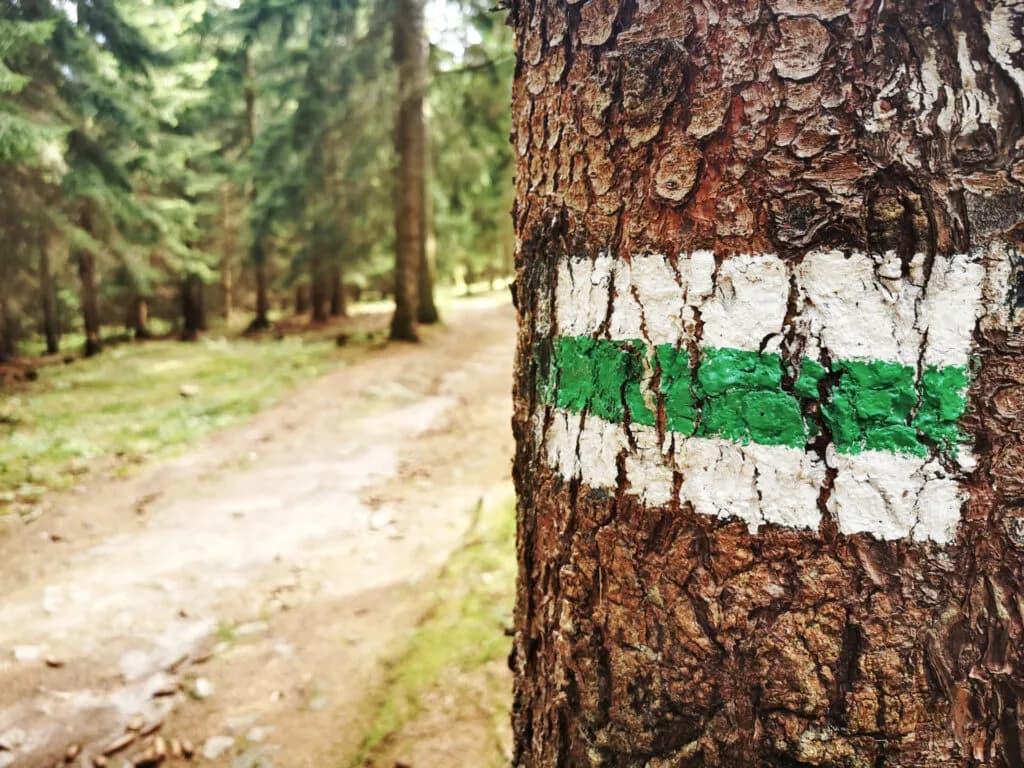 Szlak żółty co oznacza i jak prowadzi do ciekawych miejsc